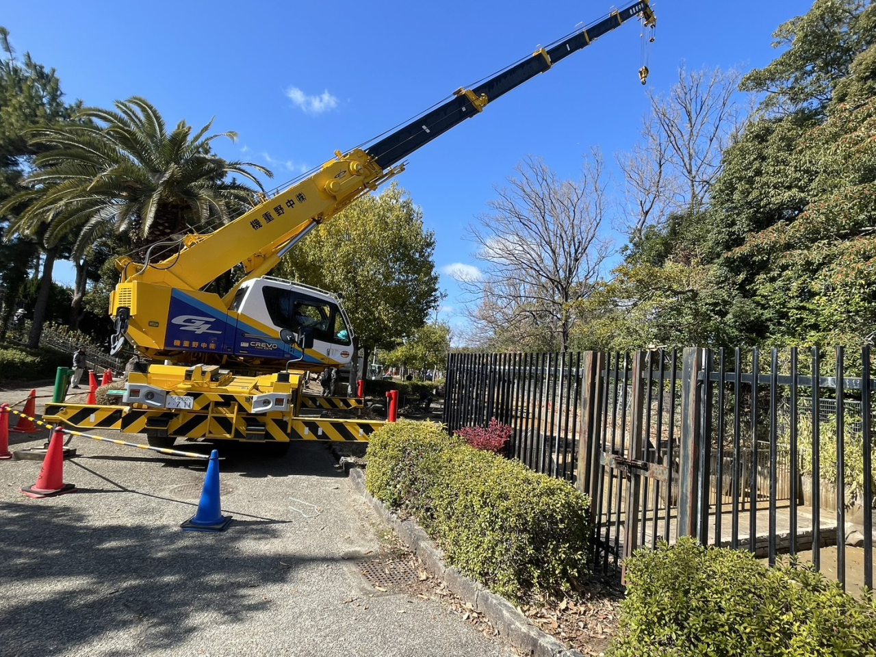 樹木撤去作業in枚方市